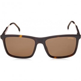 Rectangular mens 8029/S Rectangular Sunglasses - Dark Havana/Polarized Bronze - CD18KRG4WO2 $34.31